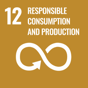 UN Sustainable Development Goal 12 — Responsible Consumption and Production